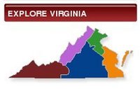Local government websites